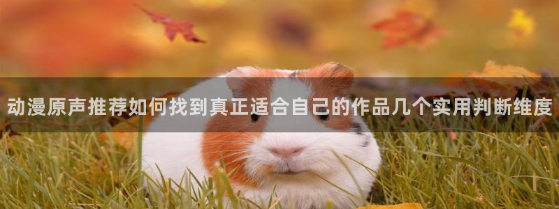 动漫岛下载