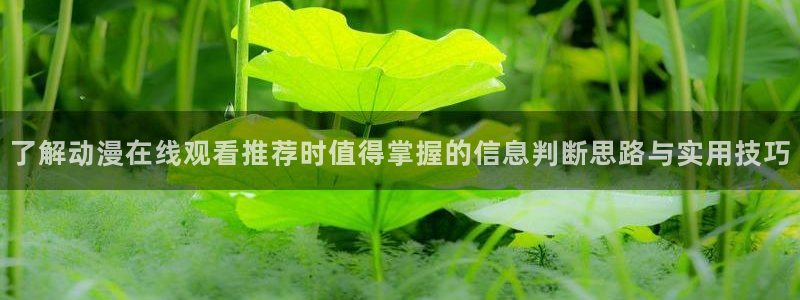 哔哩哔哩动画:了解动漫在线观看推荐时值得掌握的信息判断思路与实用技巧