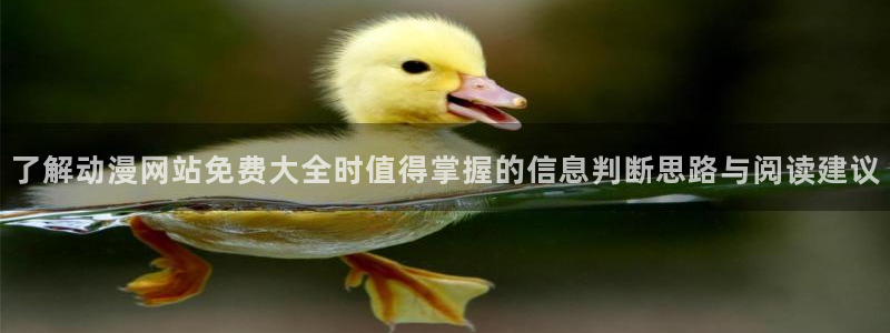 免费观看动漫的网站