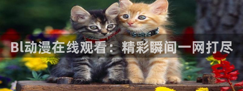 动漫之家app官方下载:Bl动漫在线观看:精彩瞬间一网打尽